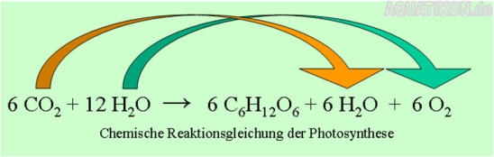 Chemische Reaktionsgleichung der Photosynthese