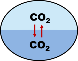 Gasaustausch von CO2  zwischen Luft und Wasser