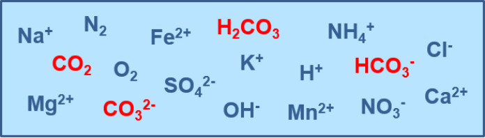 Die Kohlensäureformen im Wasser neben anderen Ionen